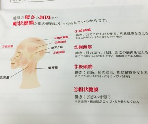 頭皮の悩みからの～